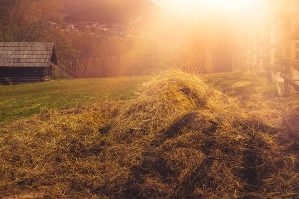 Foin pile sur la ferme animale.Saison de près.Photo de haute qualité. — Photo