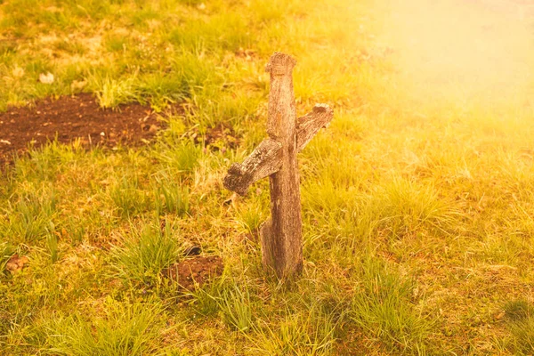 Дерев'яний хрест на стародавньому церковному цвинтарі. Висока якість фото . — стокове фото
