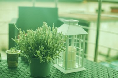 Masasında fener, bardak ve bitkiler olan modern bir teras..