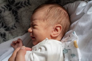 Yeni doğmuş bir bebeğin ebeveynleri tarafından nazikçe kucaklanırken ağladığı yakın plan bir fotoğraf. Ebeveynlik, çocuk bakımı, bağlanma, duygular ve erken çocukluk teması için mükemmel.