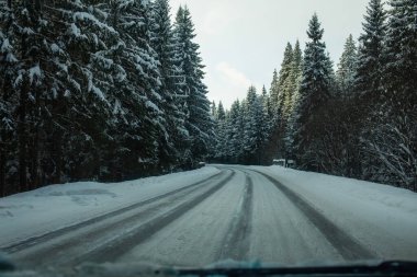 Sürücüler, sık ve yemyeşil bir ormanın içinden geçen karla kaplı bir kış yoluna bakıyorlar. Kış seyahati, yol güvenliği, mevsimsel ulaşım ve doğa manzaralarıyla ilgili kavramlar için anlaşma.