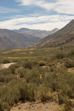 Dağ ve çöl, bitki örtüsü, bulut ve kayalarla dolu.