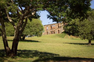 Güneşli bir günde, nehrin kenarında yeşil ve güzel bir park.
