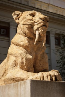 Kılıç dişli kaplan heykeli merkezli bir binanın dışında.