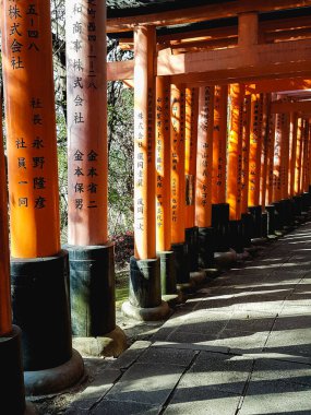 Japon Torii tünel yazıtları, renk ve ruhsal titreşimlerle dolu bir yer.