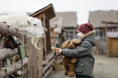 Çocuk kış hayvanat bahçesinde hayvanları besliyor. Kış tatili. Kötü havalarda boş zaman