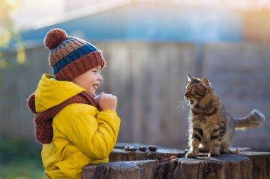 çocuk ve sokak kedisi dışarıda. Hayvan sevgisi konsepti