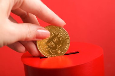 Kadın eli, kırmızı bağış kutusunun içine bitcoin sembollü altın sikke koyar. Bağışçılık, hayat kurtarma ya da hayırseverlik kavramı. İnanca içten bağlılık kavramı. Yakın çekim.