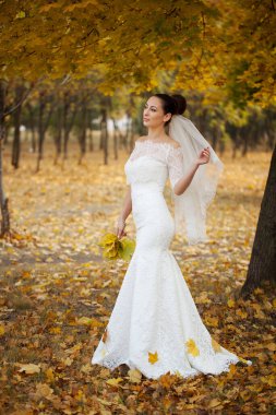 Sonbahar ormanında güzel bir gelin. Gelinlik