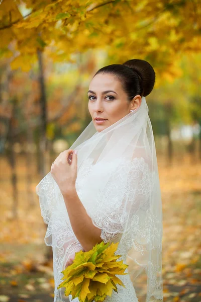 Schöne Porträt Braut Auf Herbst Wald — Stockfoto