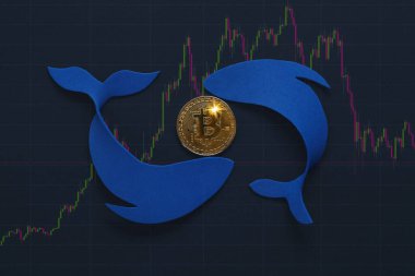 Bitcoin Balina Holder uçucu fiyat grafiğinde. Değiştirilmiş para birimi değeri