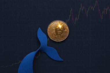 Bitcoin Balina Tutucusu. Değiştirilmiş para birimi değeri