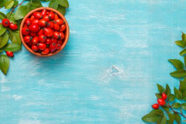 Mavi arka planda kalça gülleri olan bir fincan. Model yap. Uzayı kopyala Kapat.