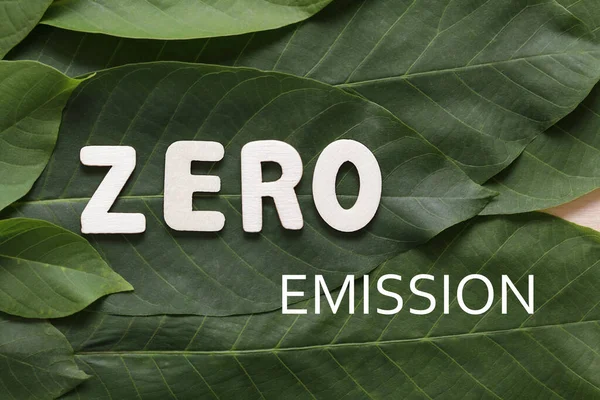 Yapraklı yeşil çevre arka planı, tahta harfler Sıfır Emisyon — Stok fotoğraf