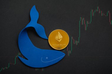 Ethereum Balina En Büyük Kripto Tutucuları. Değiştirilmiş para birimi değerleri