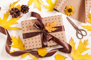 Hediye paketi. Yapraklı yapraklı el yapımı kağıt hediye kutusu, beyaz üzerine çam kozalağı. Sonbahar yaratıcı tatil hediyesi. Şükran Günü, sonbahar geçmişi.