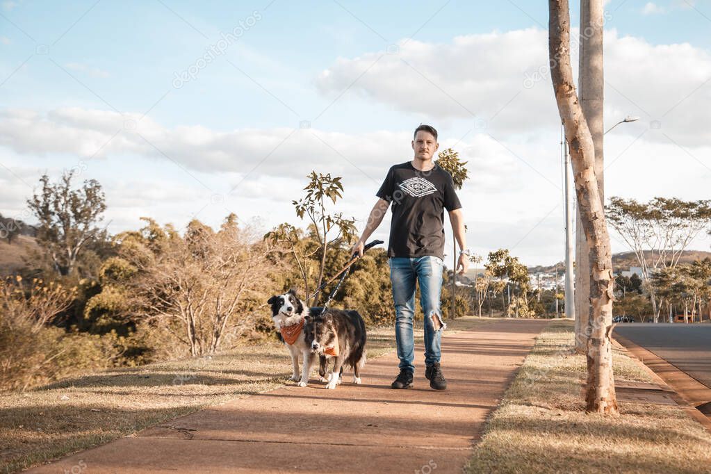young brazilian man walking his border collie dogs