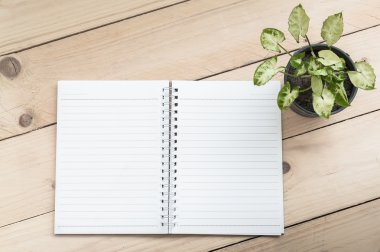 Defter ve bitki ahşap masa arka planında