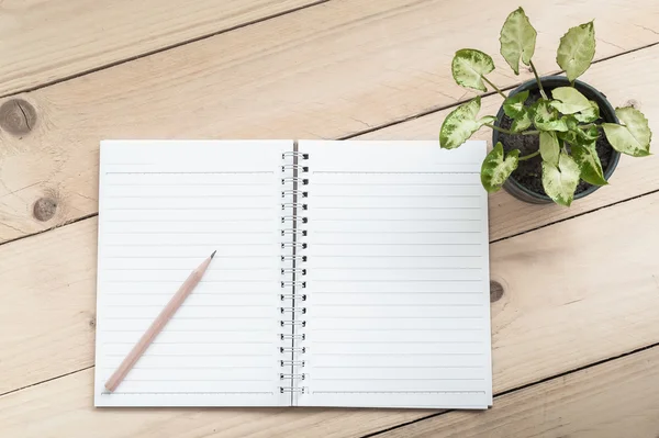 Not defteri, kalem ve bitki ahşap masa arkasında.