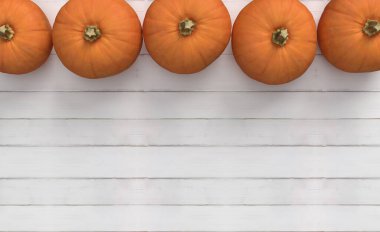 Beyaz ahşap arka planda bir grup portakal kabağı. Cadılar Bayramı ve Şükran Günü en tepede