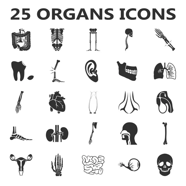 Conjunto de órganos 25 iconos negros simples. Cuerpo, anatomía, diseño de iconos médicos para web y móvil . — Vector de stock