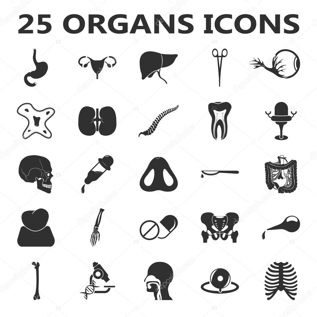 Organs set 25 black simple icons. Body, anatomy, medical icon design for web and mobile.