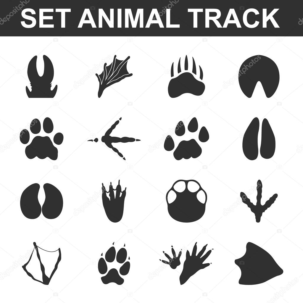 Animal tracks set 16 black simple icons. Animal print icon design for web and mobile.