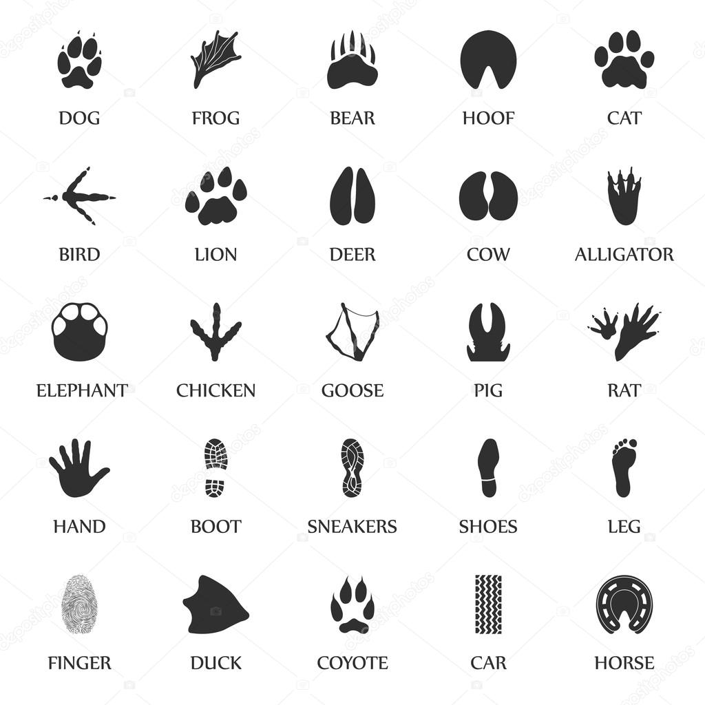 Animal tracks set 25 black simple icons. Animal, car, human print icon design for web and mobile.