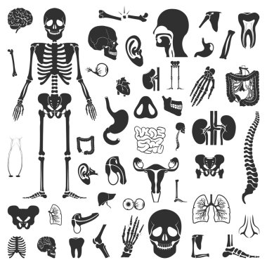 Organlar 50 siyah basit simge ler ayarlar. Web ve mobil için gövde, anatomi simgesi tasarımı.
