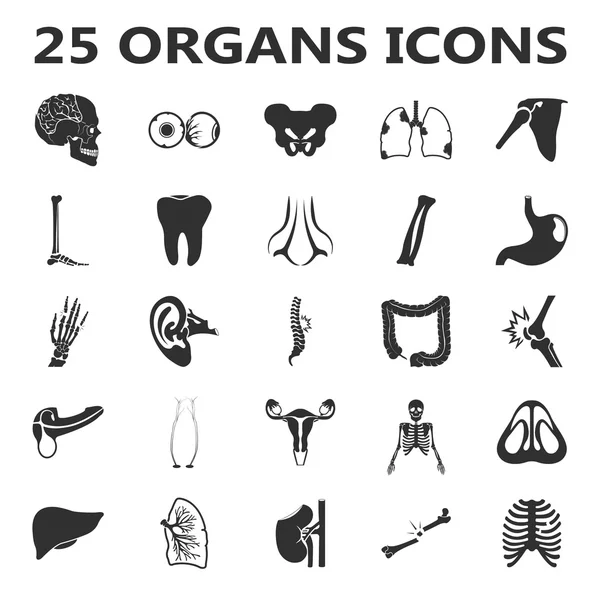 Conjunto de órganos 25 iconos negros simples. Cuerpo, anatomía, diseño de iconos médicos para web y móvil . — Vector de stock