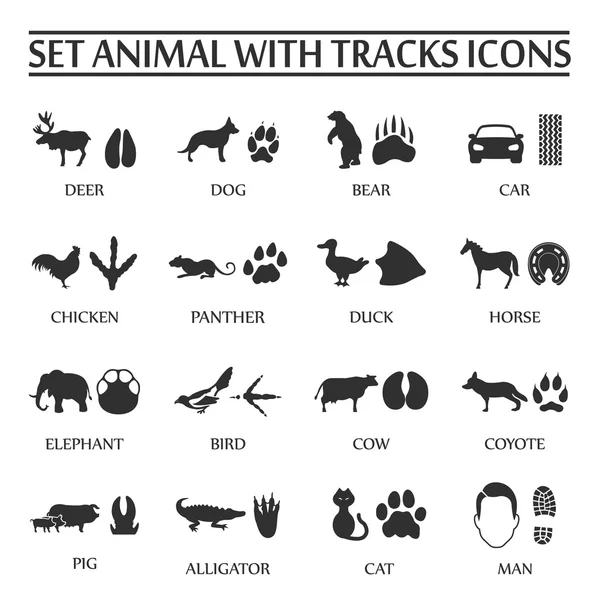 动物与轨道设置16个黑色简单的图标。用于网页和移动的动物打印图标设计. — 图库矢量图片