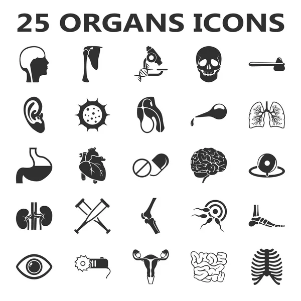 Conjunto de órganos 25 iconos negros simples. Cuerpo, anatomía, diseño de iconos médicos para web y móvil . — Vector de stock