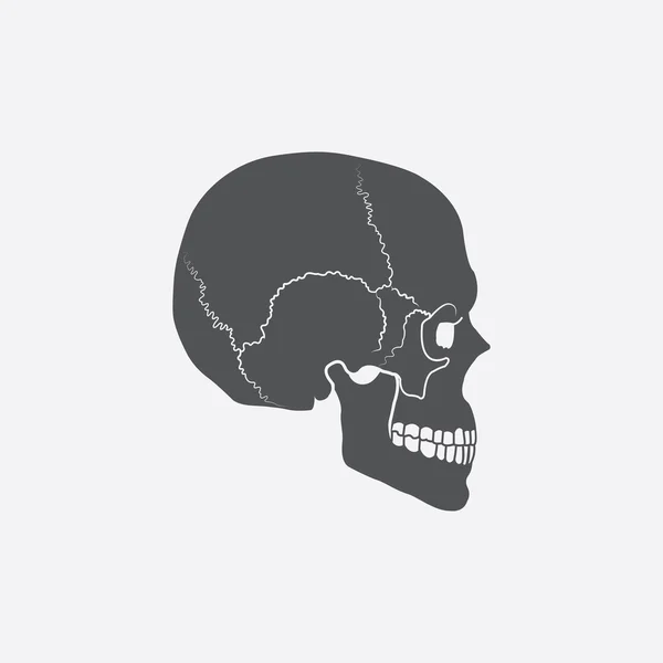 Skull icon of vector illustration for web and mobile — Stock Vector