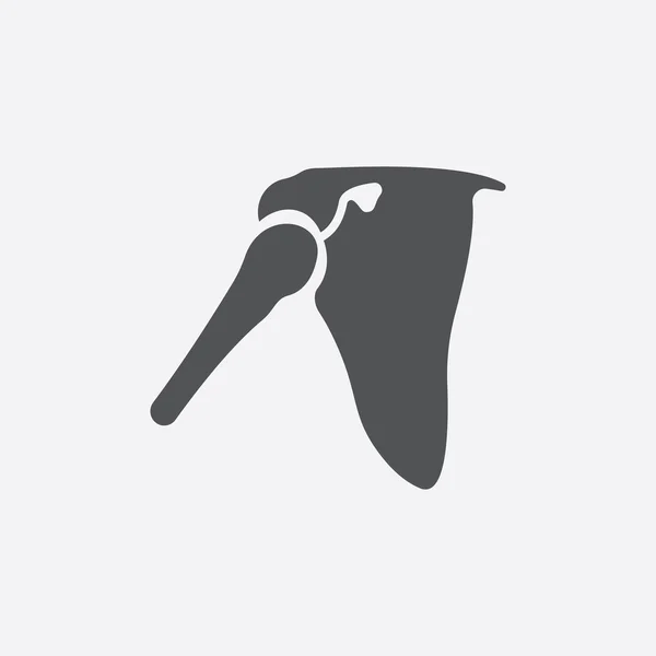 Scapula icon ของภาพเวกเตอร์สําหรับเว็บและมือถือ — ภาพเวกเตอร์สต็อก