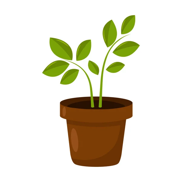 Plant icon of vector illustration for web and mobile — Stock Vector