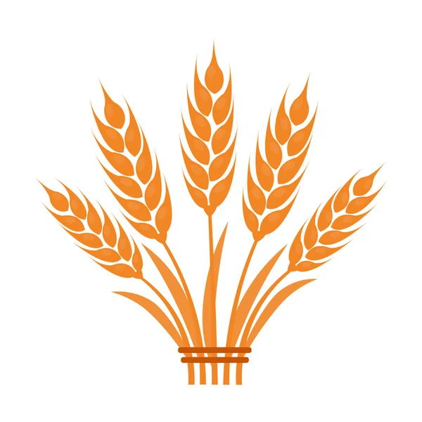 Oreilles de blé icône de l'illustration vectorielle pour le web et mobile — Image vectorielle