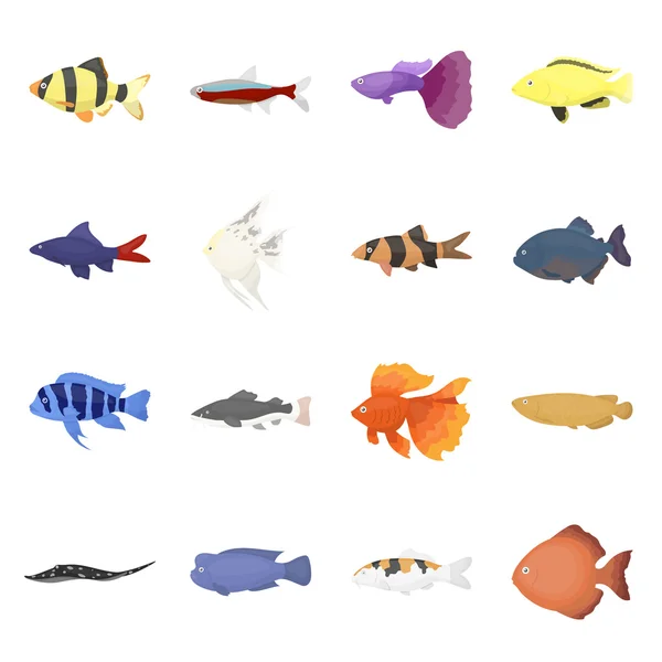 Aquarium poisson 16 icônes vectorielles dans le style de dessin animé . — Image vectorielle