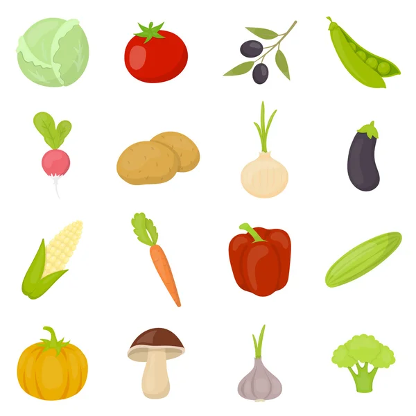 Vegetais 16 ícones vetoriais definidos em estilo cartoon . — Vetor de Stock