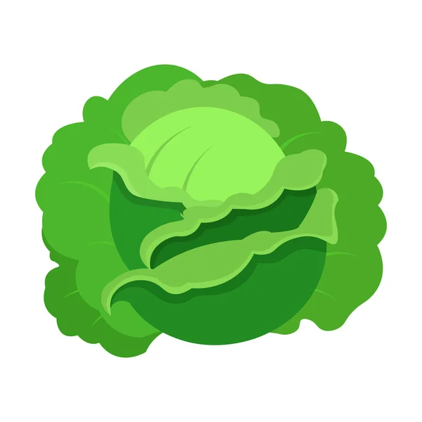 Карикатура с изображением капусты. Единственная икона растения из большого хозяйства, сада, набора культур . — стоковый вектор