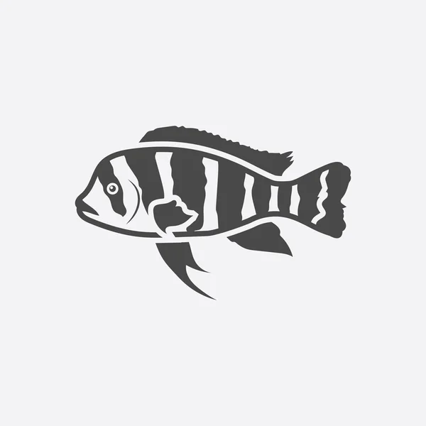 Frontosa Cichlid Cyphotilapia Frontosa fish icon black simple. Singe acuario icono de los peces del mar, la vida marina conjunto - vector de stock — Archivo Imágenes Vectoriales