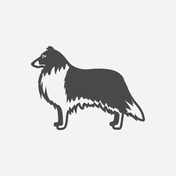 Collie ikona czarny proste. Ikona psa singe z chleba pies zestaw-wektor zapasów — Wektor stockowy