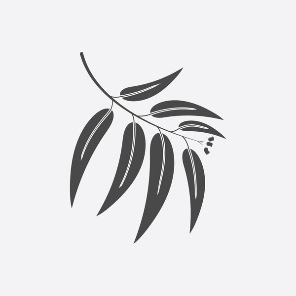 Eukalyptus-Symbol schwarz einfach. singe Natur-Ikone aus dem großen Waldpflanzen-Set. — Stockvektor