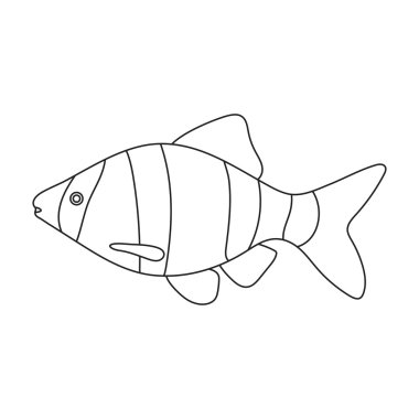 Barbus balık simgesi hattı. Akvaryum balık deniz, okyanus yaşam kümesi simgesinden tek.