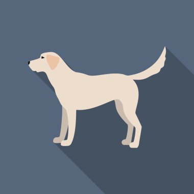 Labrador vektör simgesi web için düz stilde