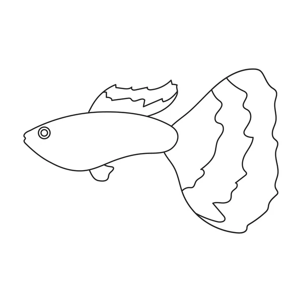 Guppy fish icon line. Singe aquarium poisson icône de la mer, océan ensemble de vie . — Image vectorielle