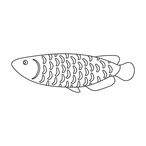 Scleropages fotmosus ryby řádku ikonu. Připálit akvarijních ryb ikonu z moře, oceánu života set. — Stockový vektor