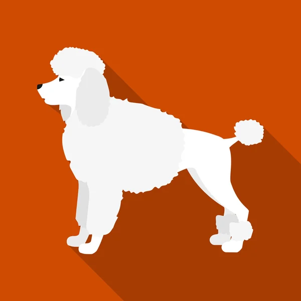 Poodle vector icon in flat style for web — Stock Vector