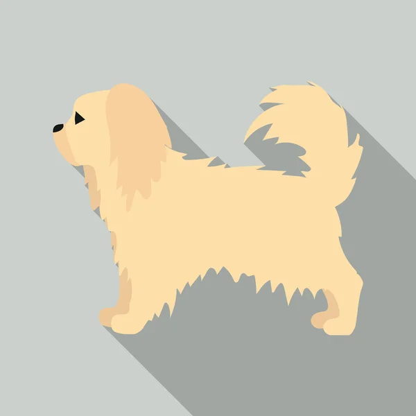 Pekingese vector icon in flat style for web — Stock Vector