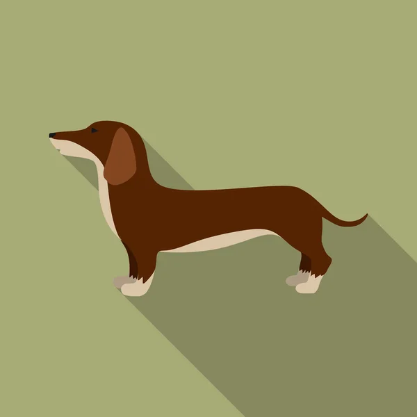 Dachshund vector icon in flat style for web — Stock Vector