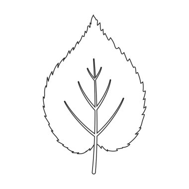 Linden yaprak vektör simgesi web için çizgi stili